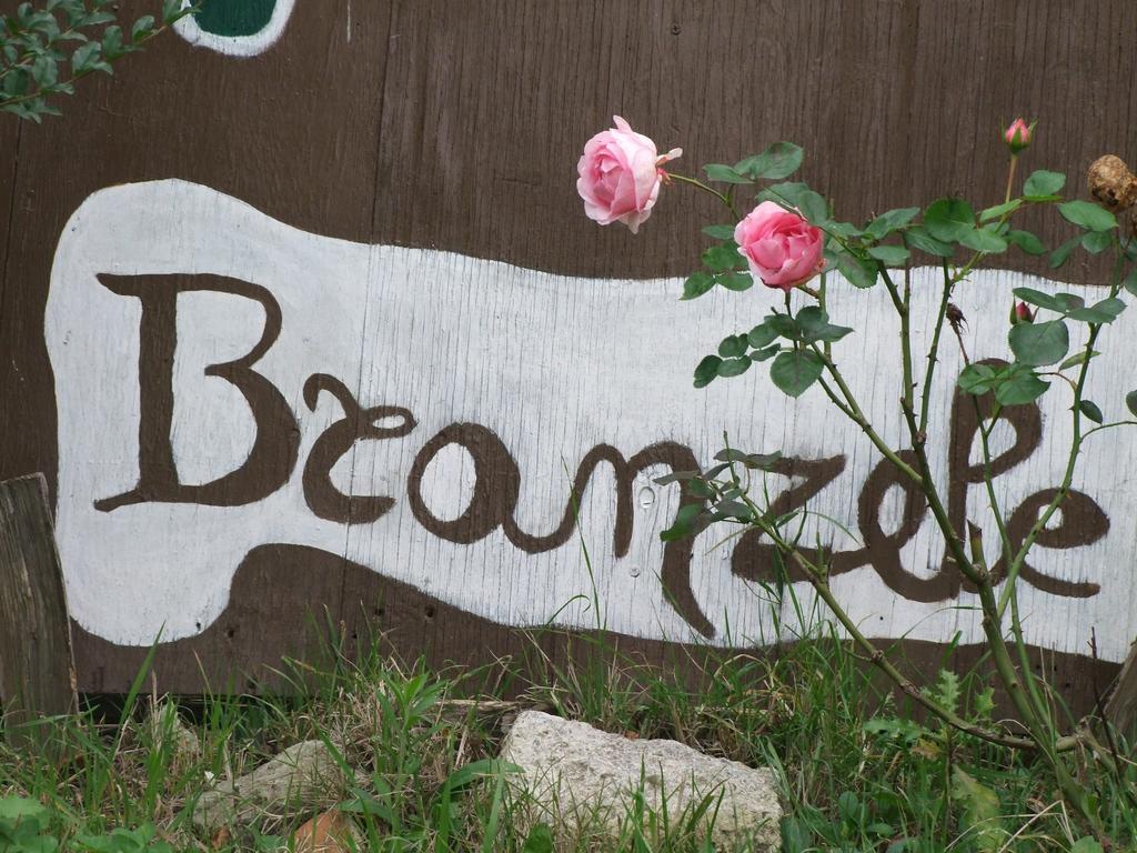 Casa Branzele Bed & Breakfast Trezzo Tinella Dış mekan fotoğraf