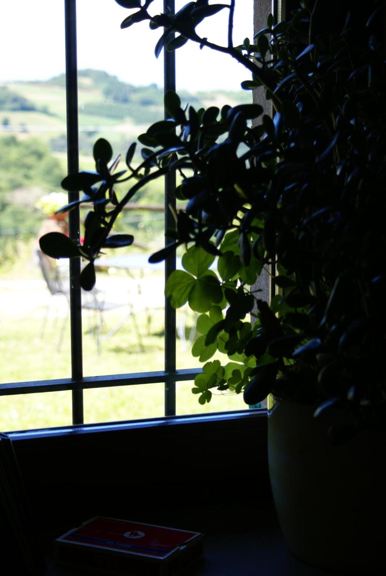 Casa Branzele Bed & Breakfast Trezzo Tinella Dış mekan fotoğraf