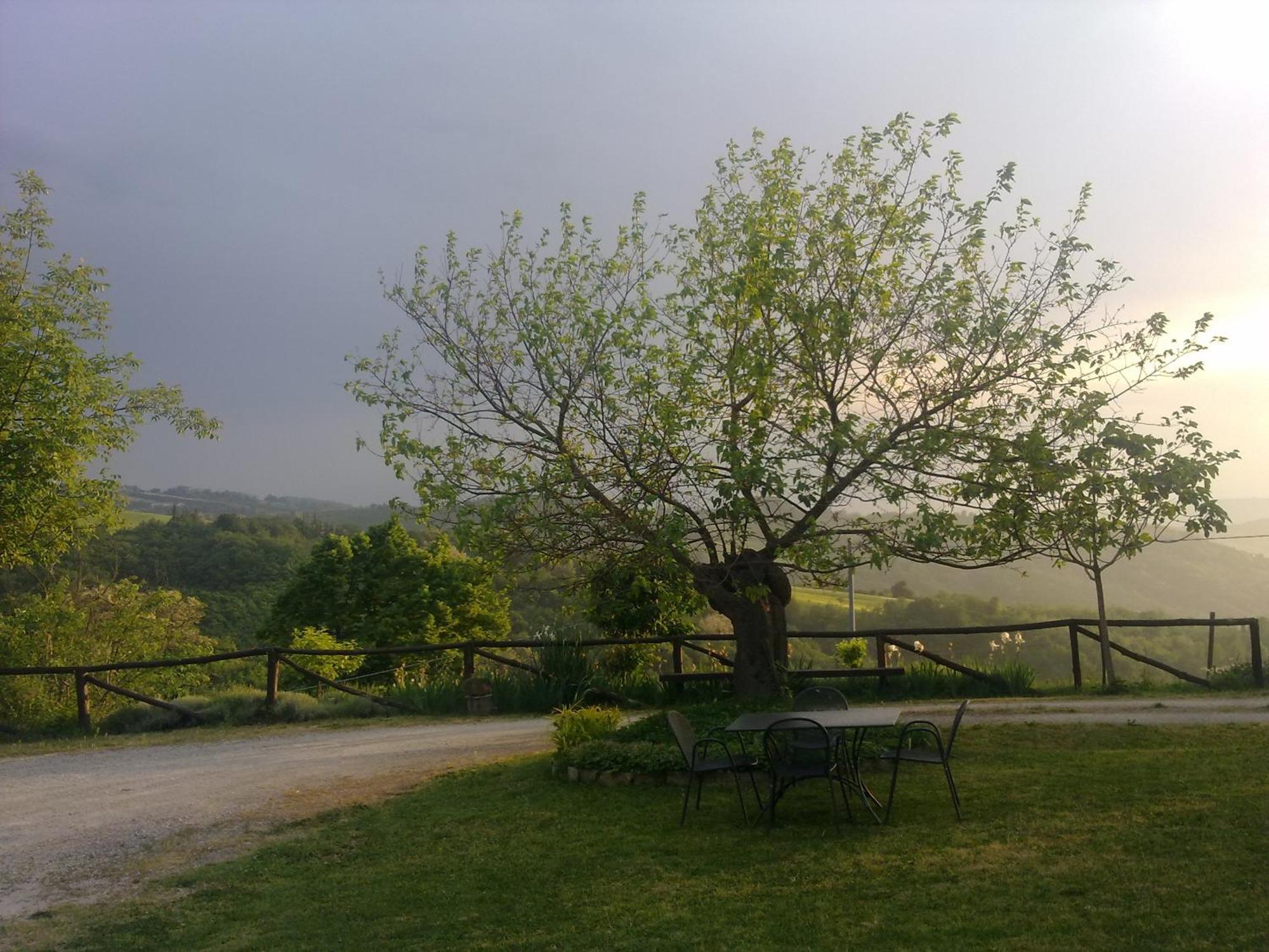 Casa Branzele Bed & Breakfast Trezzo Tinella Dış mekan fotoğraf