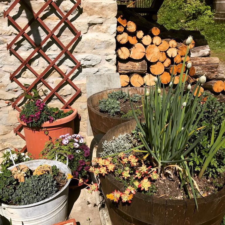 Casa Branzele Bed & Breakfast Trezzo Tinella Dış mekan fotoğraf