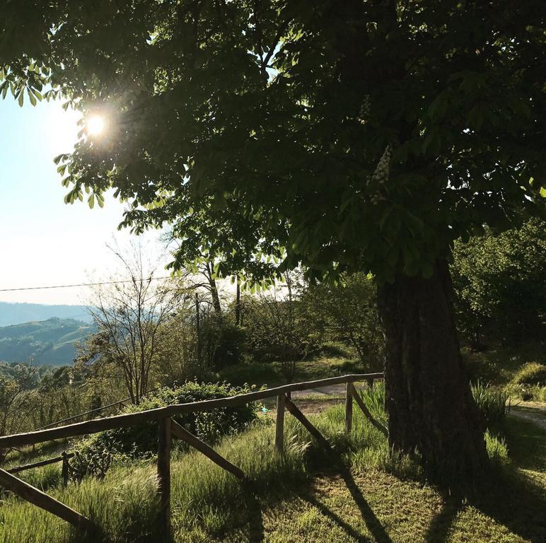 Casa Branzele Bed & Breakfast Trezzo Tinella Dış mekan fotoğraf