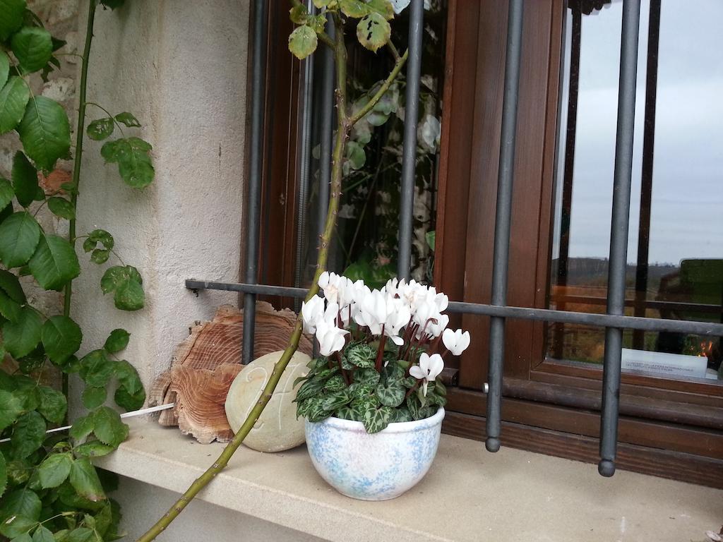 Casa Branzele Bed & Breakfast Trezzo Tinella Dış mekan fotoğraf